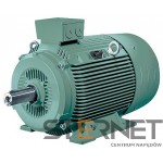 LOW-VOLTG. SQUIRREL-CAGE MOTOR IP55, 2-POLE * SIZE 250 M THERM.CL.155(F) IE1 * GREY CAST-IRON ENCL. 3 AC 50HZ 400VΔ/690VY * 55 KW 3 AC 60HZ 460VD * 62 KW IM B3, IM B6, IM B7, IM B8